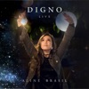 Digno (Ao Vivo) - Single, 2018