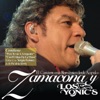 Zamacona - Soy Albañil