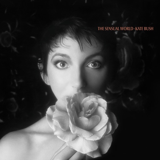 Cover artwork for This Woman's Work (2018 Remaster)