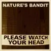 Please Watch Your Head (Instrumental) - Single album lyrics, reviews, download