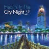 Healin' in the City Night, Vol. 2