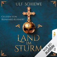 Ulf Schiewe - Land im Sturm artwork