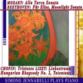 Piano Sonata No. 11 in A Major, K. 331 "Alla Turca": II. Menuetto artwork