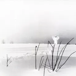 Itku pitkästä ilosta - Timo Rautiainen & Trio Niskalaukaus Itku pitkästä ilosta - Timo Rautiainen & Trio Niskalaukaus
