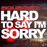 Hard to Say I'm Sorry (Klaas Remix)