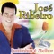 Parabéns - José Ribeiro lyrics