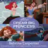 A Dream Is a Wish Your Heart Makes / So This Is Love - Single album lyrics, reviews, download