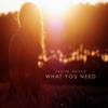 What You Need - Single