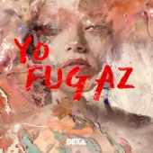 Yo Fugaz artwork