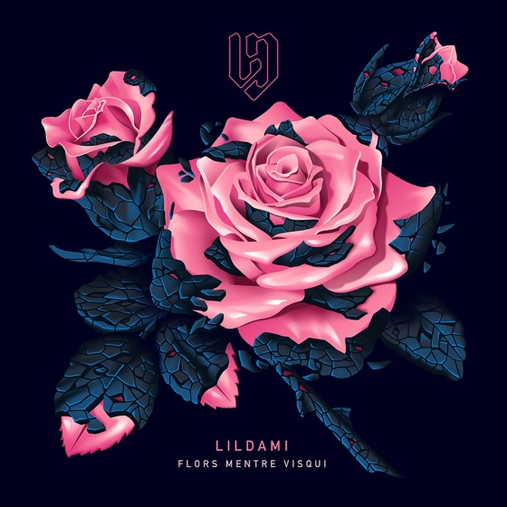 Cover artwork for Immortal