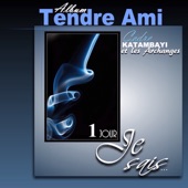 Tendre Ami artwork