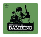 El Flamenco Es... Bambino artwork