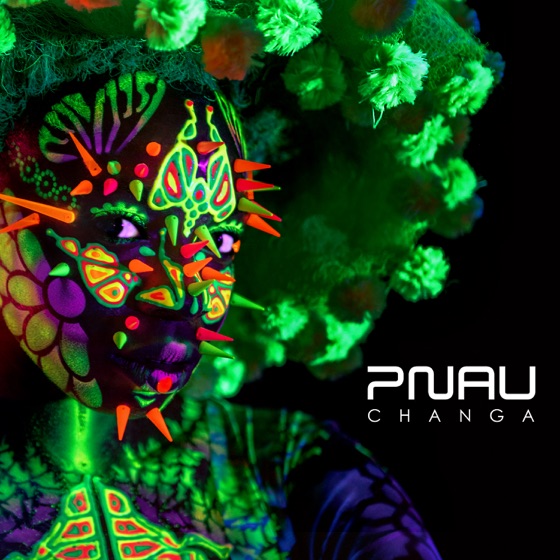 Cover artwork for Changa (Blanke Remix)