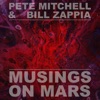 Musings on Mars