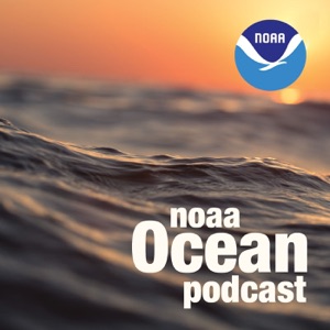 Ocean Gliders: How NOAA uses autonomous technology to help predict hurricane intensity