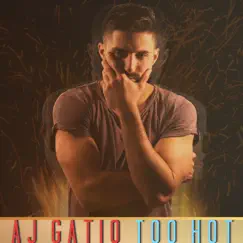 Too Hot - Single by AJ Gatio album reviews, ratings, credits