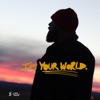 It's Your World - Single