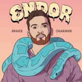 Snake Charmer artwork