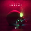 Shrine - Single, 2018