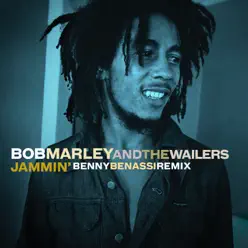Jammin' (Benny Benassi Remix) - Single - Bob Marley
