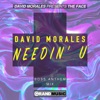 David Morales - Needin' U