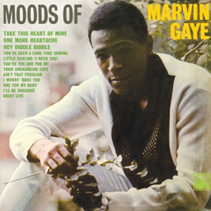 Moods of Marvin Gaye