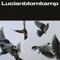 Control Together (feat. Rosebud Leach) - Lucianblomkamp lyrics