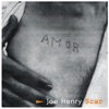 Joe Henry - Nico Lost One Small Buddha