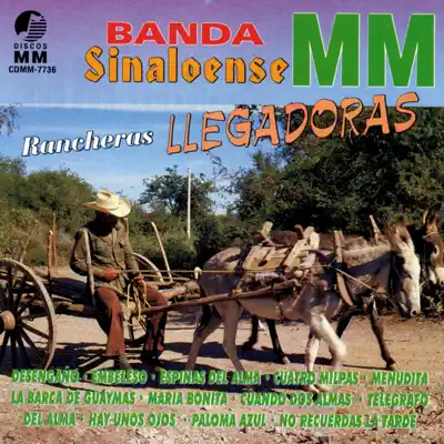 Rancheras Llegadoras - Banda Sinaloense MM