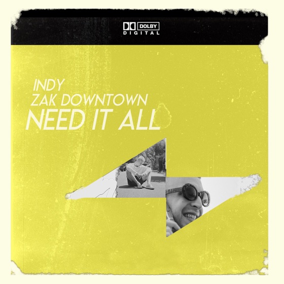Cover artwork for Need It All (feat. Zak Downtown)