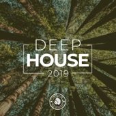 Deep House 2019 artwork