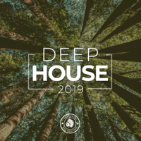 Various Artists - Deep House 2019 artwork