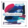 Future / House #8