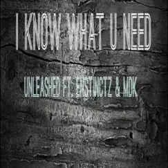I Know What U Need (feat. Enstinctz & Mdk) - Single by Unleashed album reviews, ratings, credits
