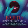 Bajito (feat. Ky-Mani Marley & Tito "El Bambino" El Patrón) [Remix] - Single album lyrics, reviews, download