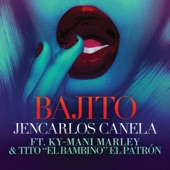 Bajito (feat. Ky-Mani Marley & Tito "El Bambino" El Patrón) [Remix] artwork