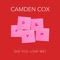 Did You Love Me? - Camden Cox lyrics