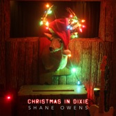 Christmas in Dixie artwork