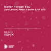 Never Forget You (DJ Jerry Unofficial Remix) [Zara Larsson, MNEK & Brown Eyed Soul] - Single