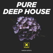 Pure Deep House artwork