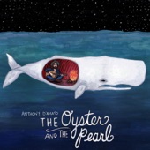 Anthony D'Amato - The Oyster and the Pearl