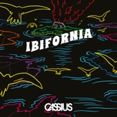 Ibifornia (Torb Remix) artwork