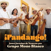 Grupo Mono Blanco - El Jarabe Loco (The Crazy Jarabe)