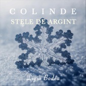 Colinde: Stele De Argint artwork