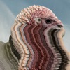 Bird Brains - EP