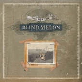 The Best of Blind Melon artwork