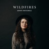 Wildfires - Single