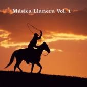 Música Llanera, Vol. 1 artwork