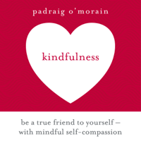 Padraig O'Morain - Kindfulness artwork