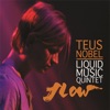 Teus Nobel - Gut Feeling
